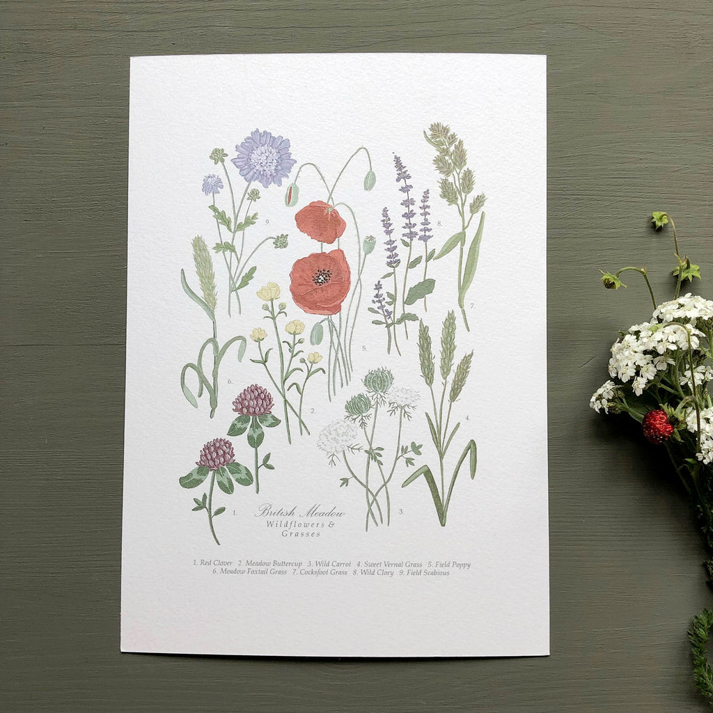 Botanical & Butterfly Charts