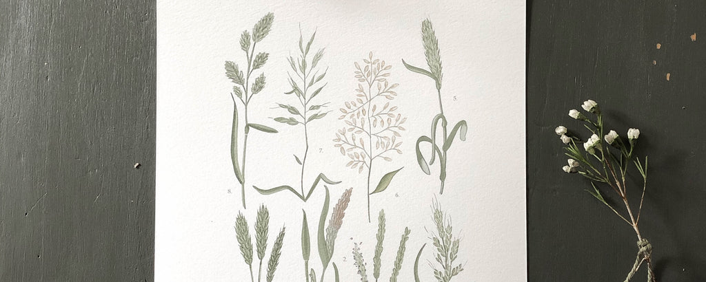 Into the Wild Prints