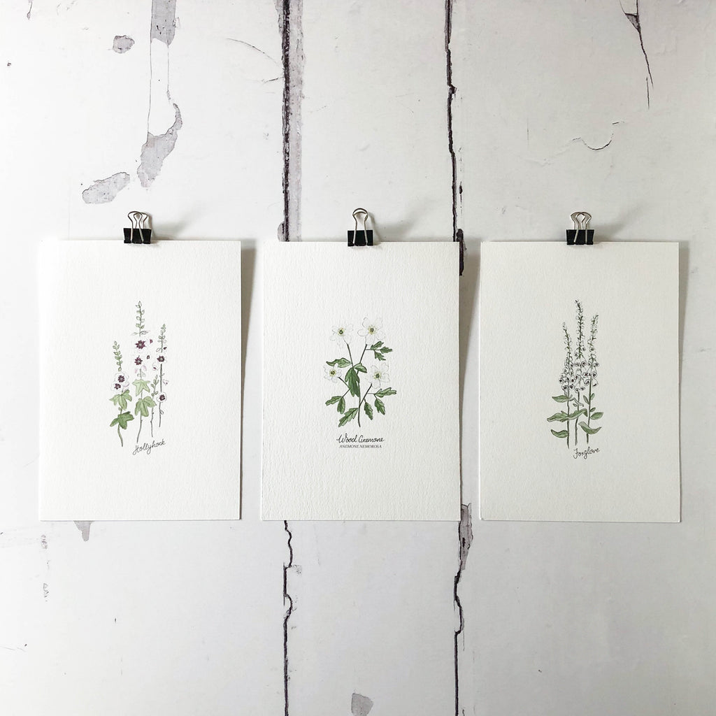 Flowers in Print