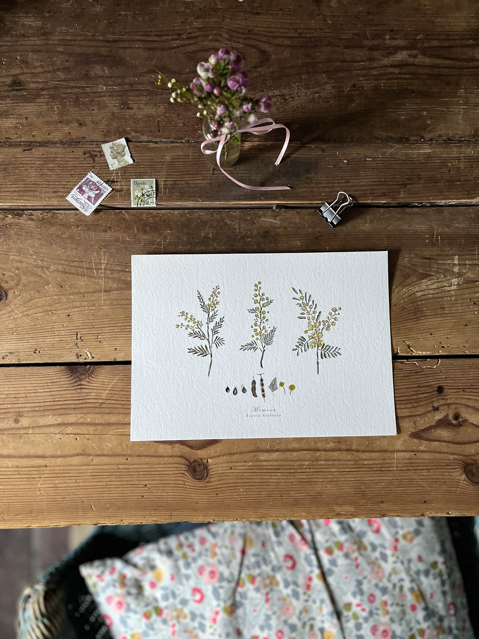 håndjern Forkludret petroleum Mimosa Flower Botanical Print – Love One Another Paper Co.