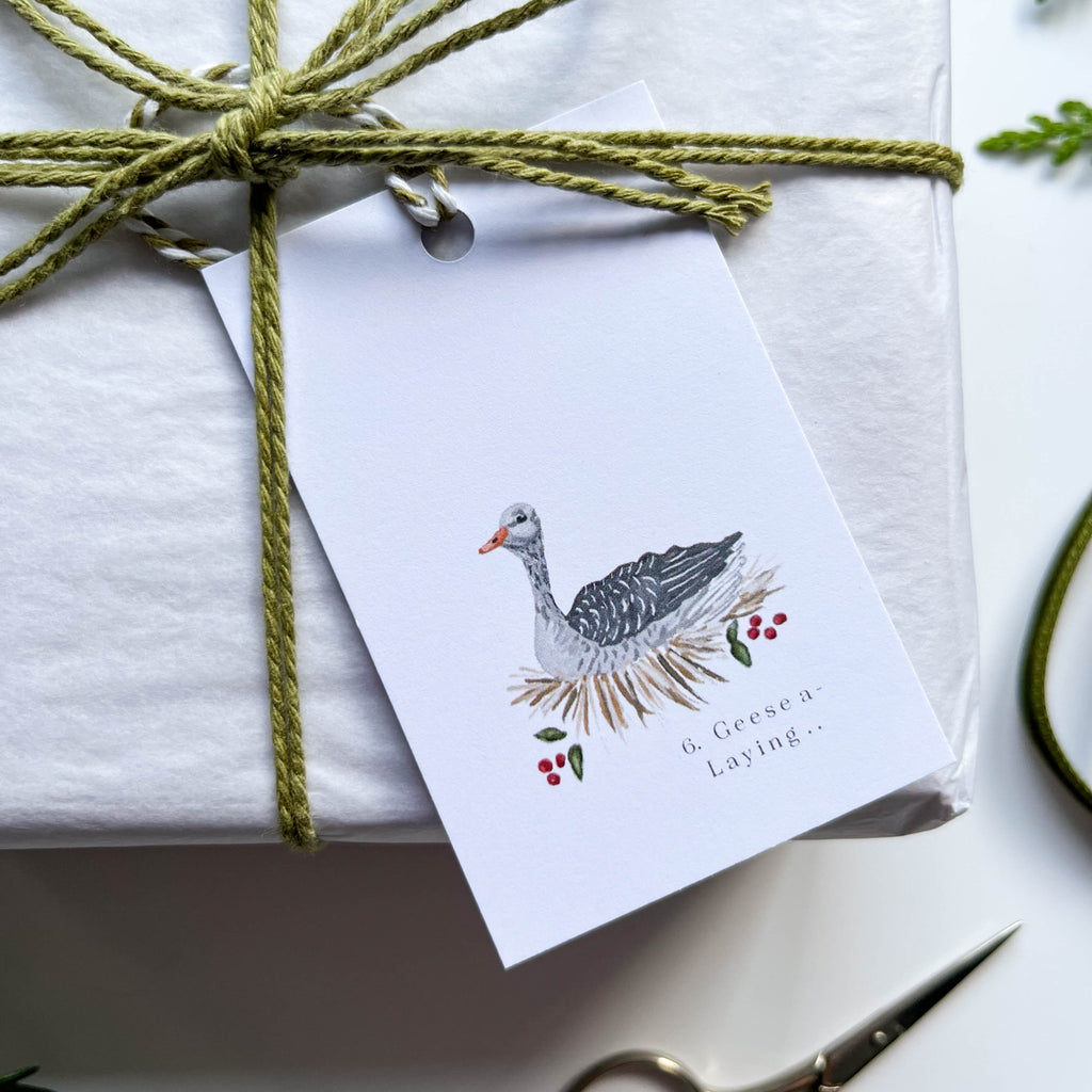 12 days of christmas hand illustrated 6 geese a laying gift tag on box with green string