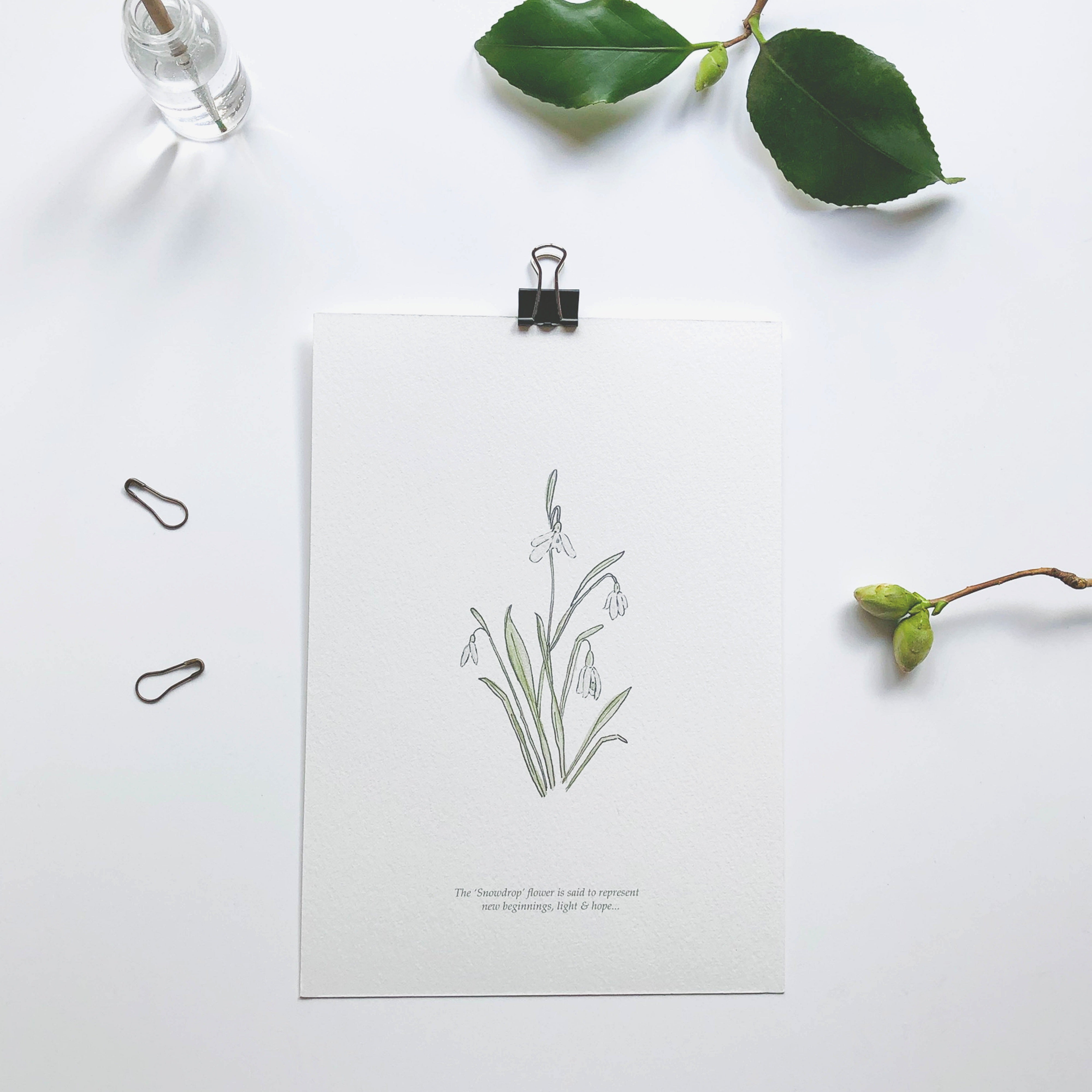 Snowdrop Spring Flower Botanical Print – Love One Another Paper Co.